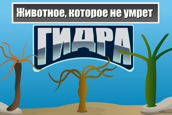 Kraken сайт покупок