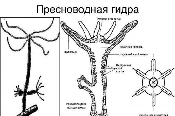 Кракен войти