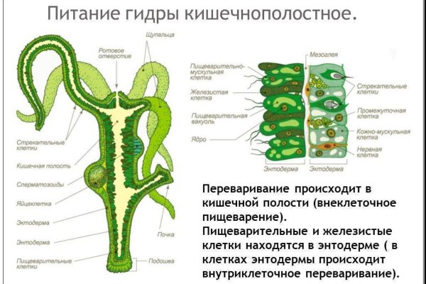 Кракен купить мефедрон